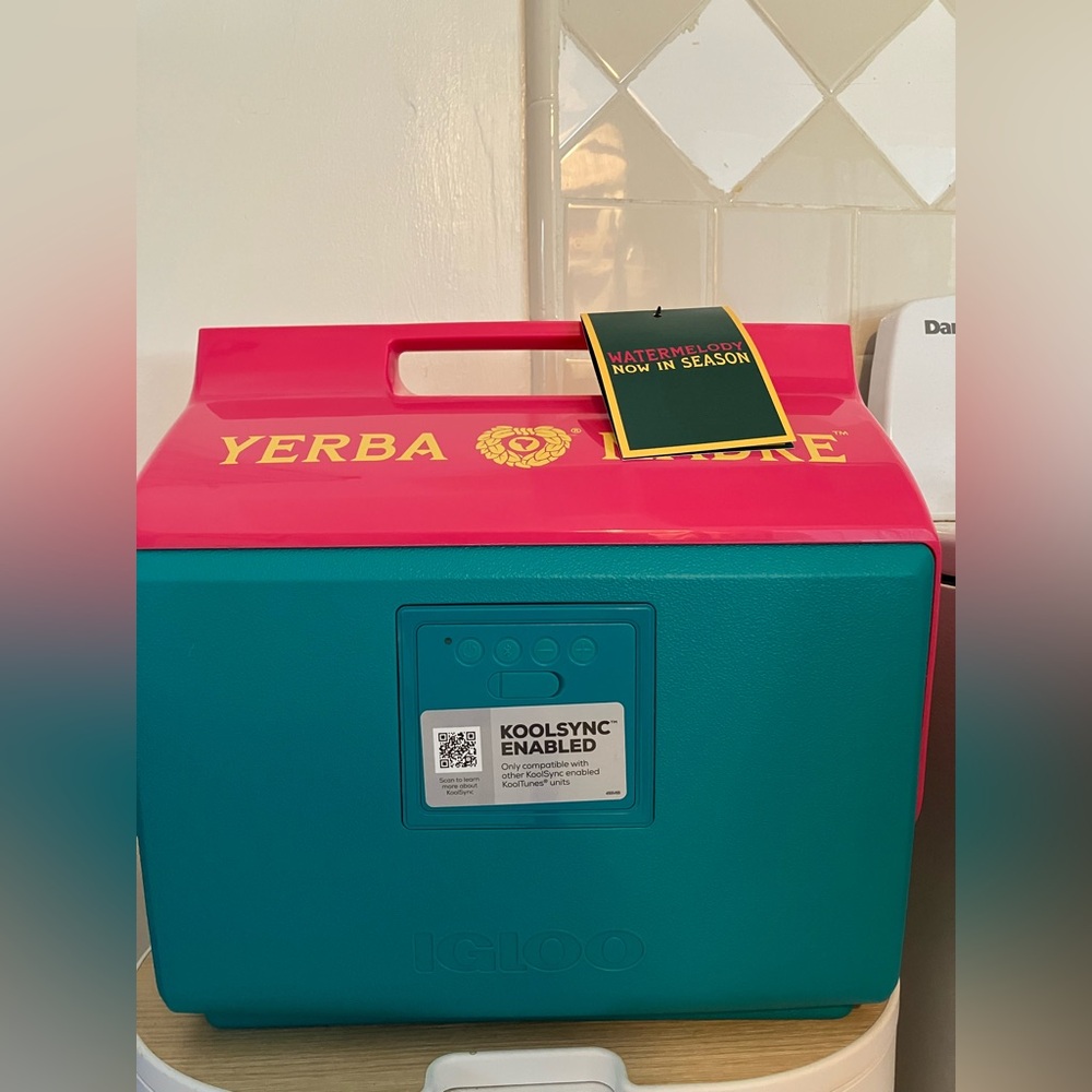 Pink and Teal Igloo Cooler with speakers NWT